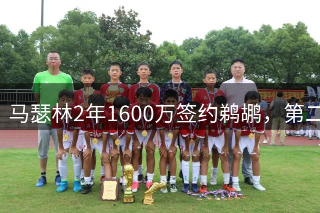 马瑟林2年1600万签约鹈鹕，第二年球员选项成关键变数